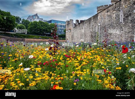 city of london flowers|Blooms At London.
